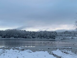 Jungferweiher Ulmen 2022