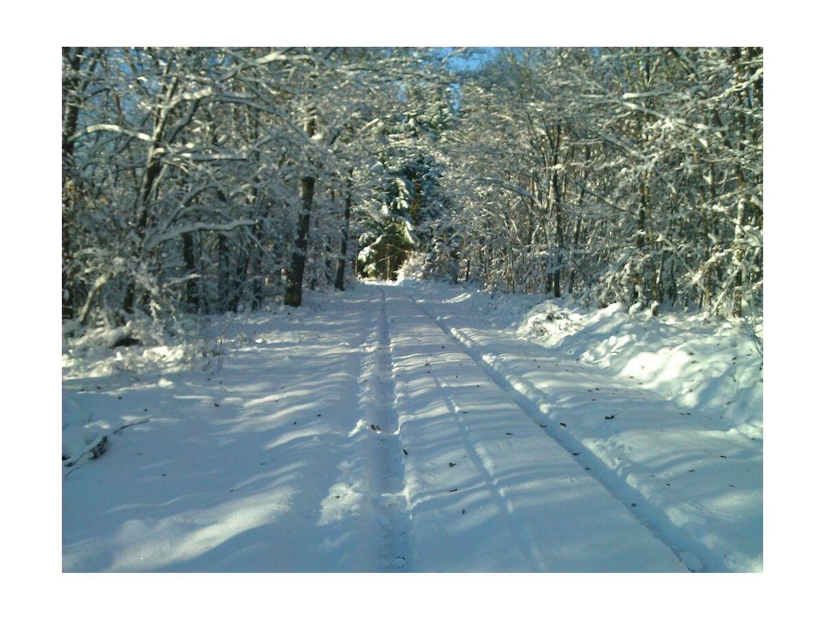 Winterlandschaft