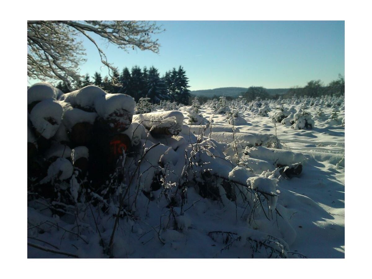 Winter rund um Manderscheid