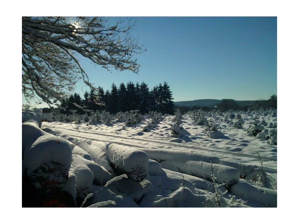 Winterlandschaft2