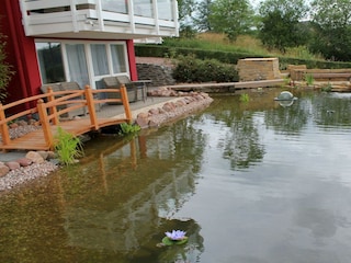 Bild 579