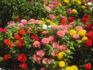 Appartamento per vacanze Seeboden Registrazione all'aperto 7