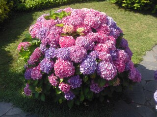 Appartamento per vacanze Seeboden Ambiente 19