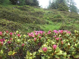 Appartamento per vacanze Seeboden Ambiente 15