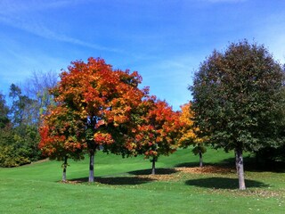 Appartamento per vacanze Seeboden Ambiente 16