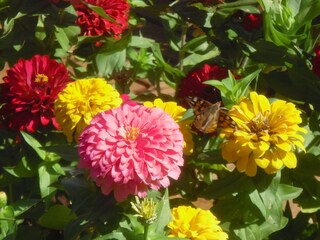 Appartamento per vacanze Seeboden Ambiente 18