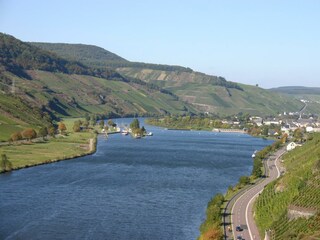 Wintrich