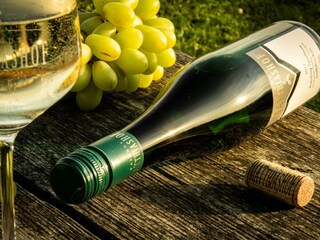 Wein mit Trauben