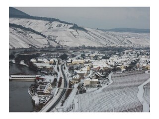 Wintrich im Schnee