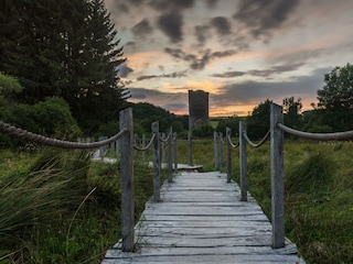 Wanderweg bei der Ruine Baldenau