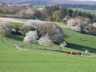 Blick ins Tal