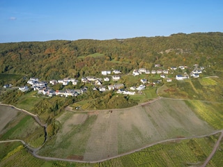 Apartment Graach an der Mosel Environment 9