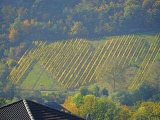 EF1B5023-27D7-450D-A11B-9E6E2005C116