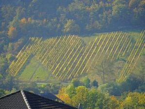 Appartement Traumblick FEWO Nr 12