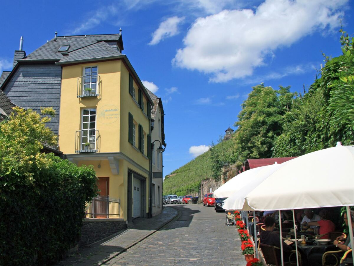 Blick auf die Weinberge