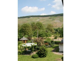Ausblick in den Garten und Weinberg Kardinalsberg