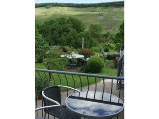 Ausblick vom Balkon in den Garten
