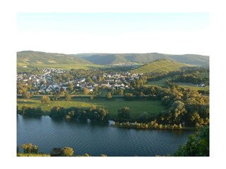 Blick auf Mülheim an der Mosel