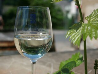 Wein Weingut Schneider-Kettern