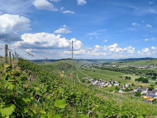 Ausblick von einem unserer Weinberge