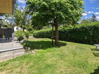 PXL_20220601_125759569