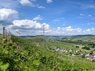 Ausblick von einem unserer Weinberge