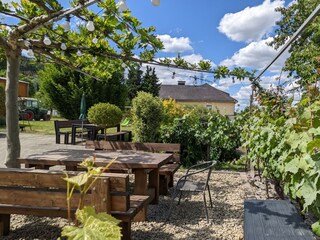 PXL_20220601_130428507 (1)