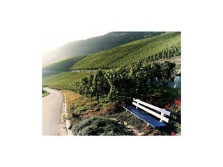 wine29