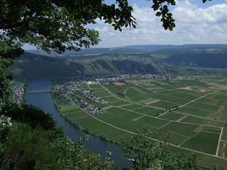 Piesport von oben