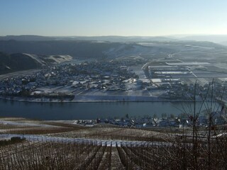 Piesport im Winter