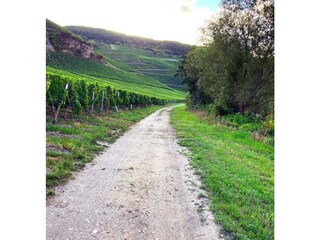 Wanderweg
