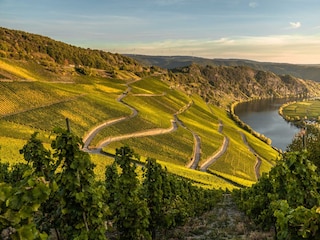 DSC03993-HDR