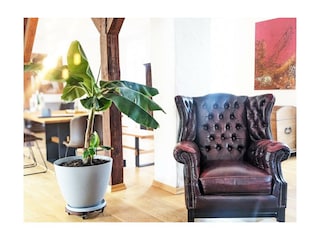 Sessel Loft Wohnzimmer (Mittel)