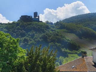 Blick auf die Burg und Mosel
