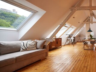 Blick auf Burg und Mosel