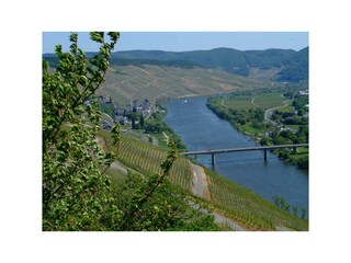 Weinort Lieser Wein- und Gaestehaus Genetsch