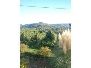 Ausblick Garten Genetsch