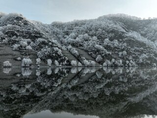 320695639_1620756931675821_2680015114374722723_n