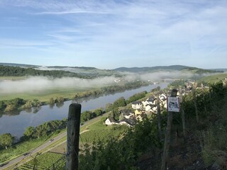 Lieserer Niederberg-Helden - Mosel - Wein- und Gae