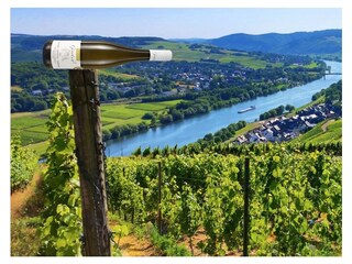 Weinort Lieser Genetsch Mosel
