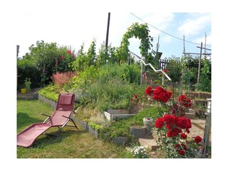 Im Garten hinterm Haus