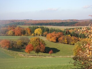 Herbstimpression