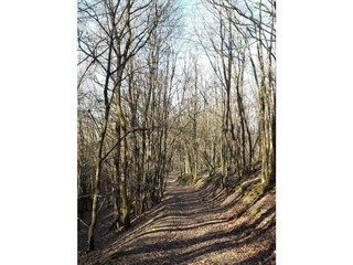 Wanderweg "Kirchspiel's Täler Tour"