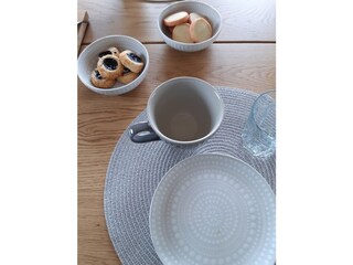 Casa per le vacanze Hjaeltevad Caratteristiche 10