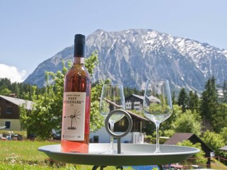 Appartamento Bad Mitterndorf Caratteristiche 27