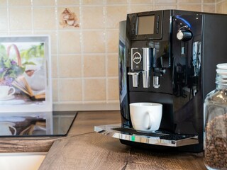 Villa Kanfanar Caratteristiche 17