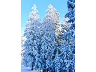 Appartamento per vacanze Schwarzenberg in Vorarlberg Ambiente 15