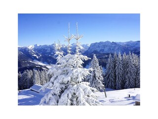 Appartamento per vacanze Schwarzenberg in Vorarlberg Ambiente 19
