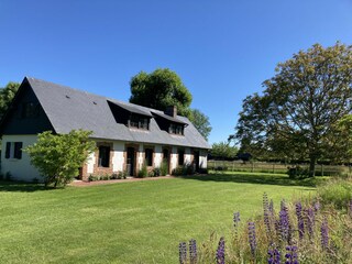 Casa per le vacanze Ouville-la-Rivière Registrazione all'aperto 7