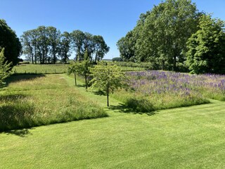 Casa per le vacanze Ouville-la-Rivière Registrazione all'aperto 15